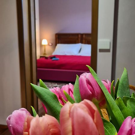 Zi Bitta - Guest House Палманова Екстериор снимка