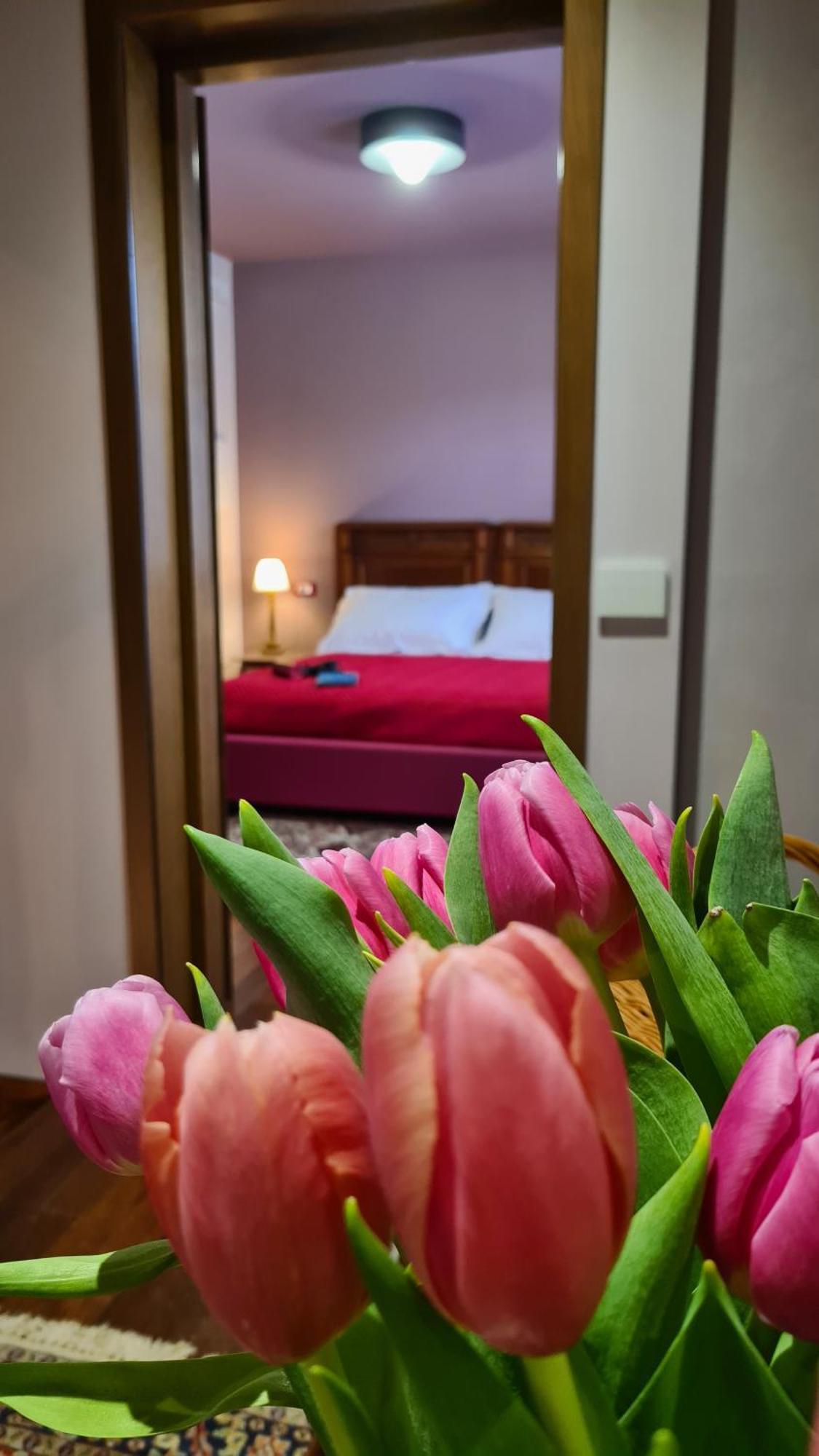 Zi Bitta - Guest House Палманова Екстериор снимка
